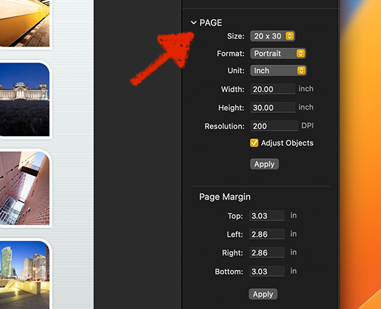 The page size settings.